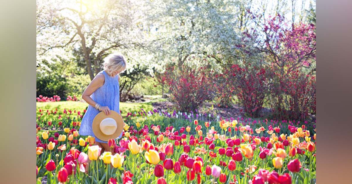 flores en primavera a cuidarse