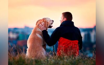 Científicos confirman que los perros ayudan a combatir la depresión de sus dueños