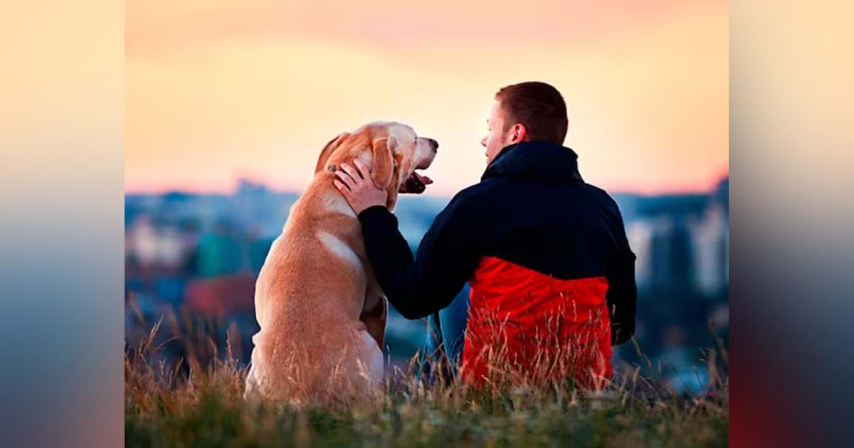 perros ayudan en cuadros depresivos