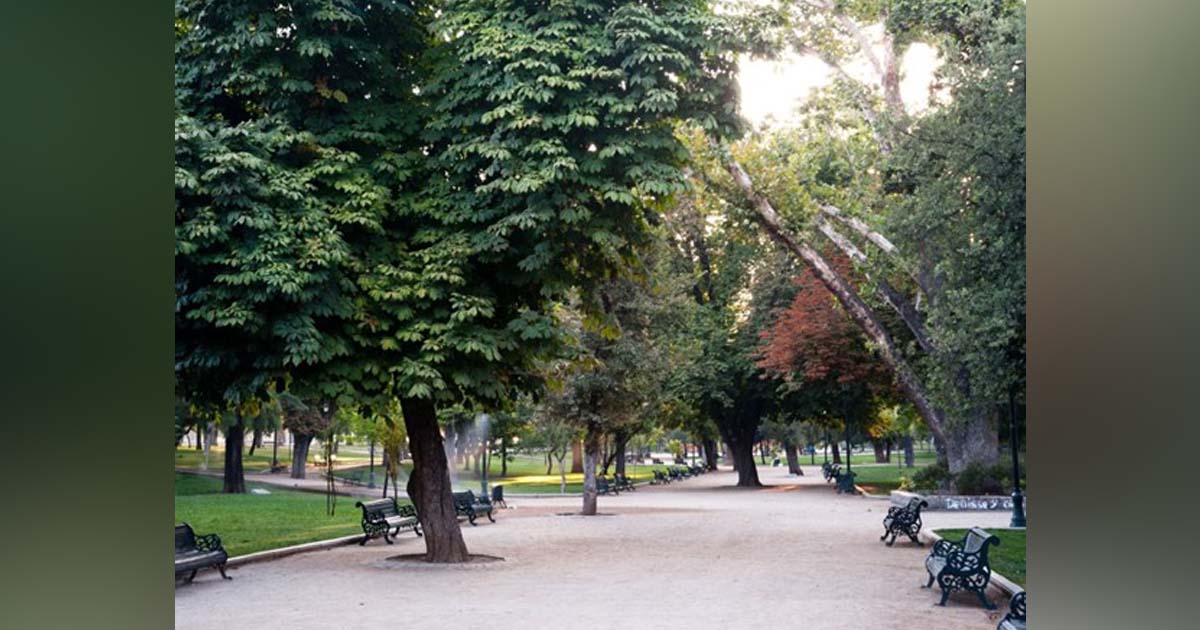 Lugares que no se olvidan: el Parque Forestal