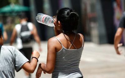 Ante la ola de calor: siga estas recomendaciones